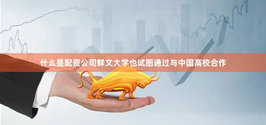 什么是配资公司鲜文大学也试图通过与中国高校合作