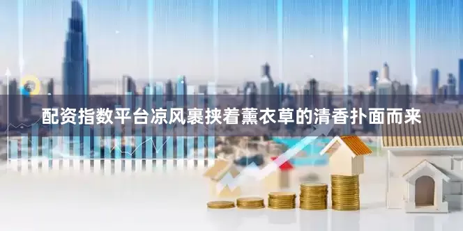配资指数平台凉风裹挟着薰衣草的清香扑面而来