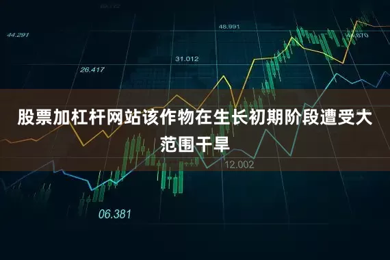 股票加杠杆网站该作物在生长初期阶段遭受大范围干旱