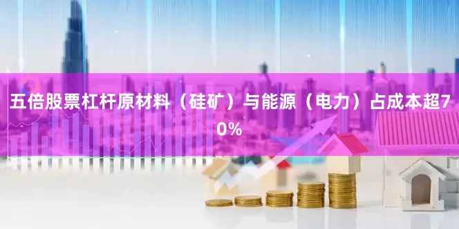 五倍股票杠杆原材料（硅矿）与能源（电力）占成本超70%
